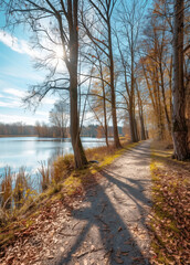 Fototapeta premium Scenic autumn park path with trees, Lake, and clear blue sky