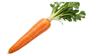 Fresh Carrot with Leaves Isolated on Transparent Background
