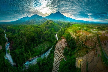 Aerial view of Indonesia's lush rice fields with majestic mountain backdrop, showcasing natural...