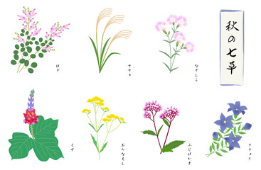 秋の七草セット