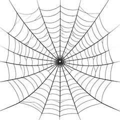 Obraz premium A close-up of a spider on its intricate, dewy web, showcasing nature's delicate patterns and textures with water drops on green leaves