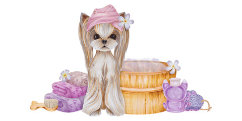 Watercolor illustration of small white dog sitting in bathtub with pink towel and bottle of shampoo Nearby there is wooden bathtub with foam, and there are items for care and spa procedures for animal