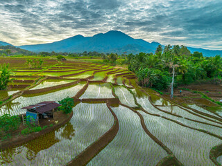 Aerial view of Indonesia's lush rice fields with majestic mountain backdrop, showcasing natural beauty, peaceful morning vibes, perfect for themes of nature, farming, and rural life