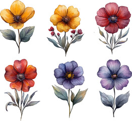 collection of flowers