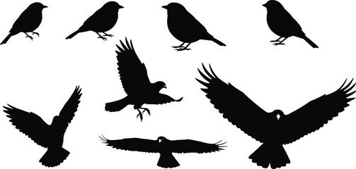 Bird silhouette collection, flying and perched birds, vector illustration, black animal icon set for design, wildlife, nature, freedom concept