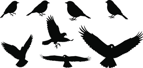 Bird silhouette set with perched and flying birds, black vector illustration, nature icon, wildlife design, animal logo and tattoo art
