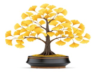 Beautiful yellow ginkgo tree bonsai in a black pot with white background