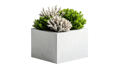 Modern concrete planter with coral and plants isolated on transparent background