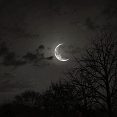 Naklejka premium Black and white photo of a crescent moon among clouds with bare trees on a dark background