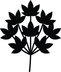 Sedum Vector Silhouette in Minimal Clean and Simple Style Silhouette Vector Art Illustration