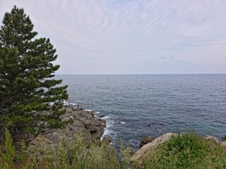 Peaceful natural landscape, trees growing on the shore, pine trees and calm seascape background,...