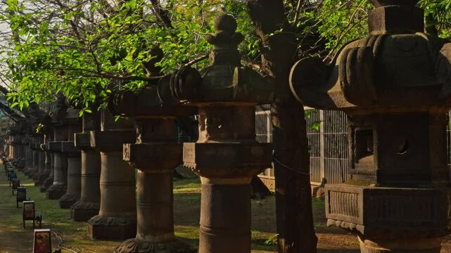 A serene row of traditional Japanese stone lanterns extends into the distance, shaded by trees, evoking history and spirituality in a temple setting.