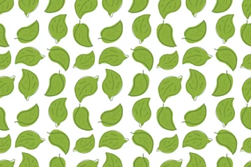 Acrylglasbilder Muster Leafy Green Motif Simple Leaf Arrangement on White  © fitriyati