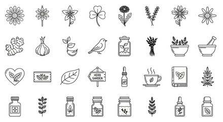  Herbal Medicine and Natural Remedies Line Icon Set
