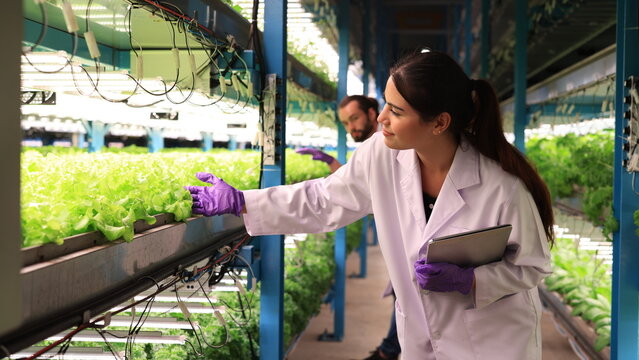 Botanist scientist woman and man in white lab coat work together on experimental plant plots biological researchers hold chemical test tube do science experiment with plant in greenhouses labor