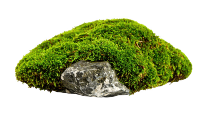 Moss covered rock isolated on transparent background