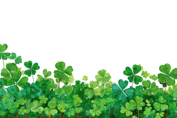 Green shamrocks border on black