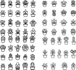 succulent, succulent plant, cactus, succulent icon, succulent leaves, succulent garden, succulent decoration, succulent arrangement, succulent care, succulent flowers, succulent plant i