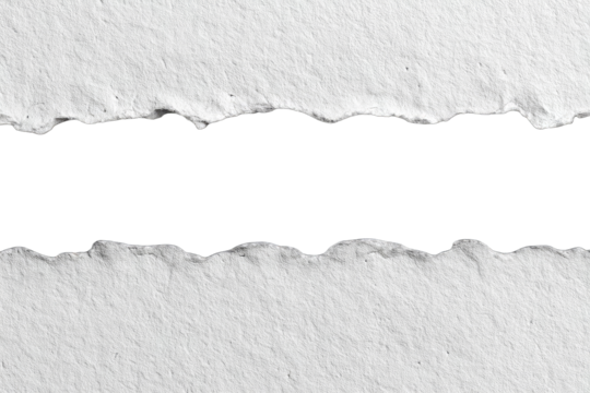 Ripped paper strip, monochrome,  horizontal tear