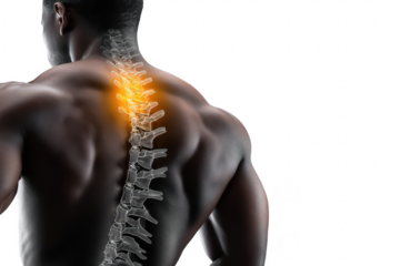 Back Pain Anatomy Illustration (1)