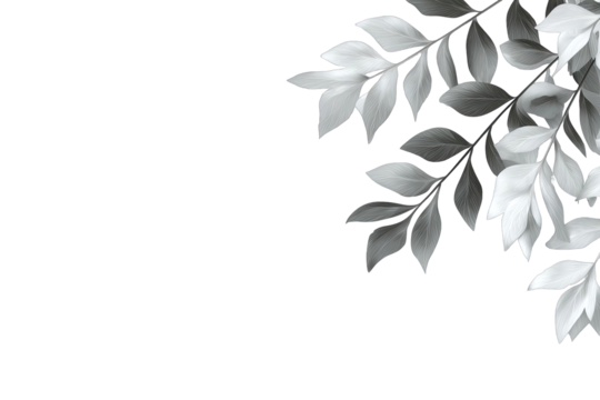 Monochrome leaves in a corner, detailed grayscale foliage