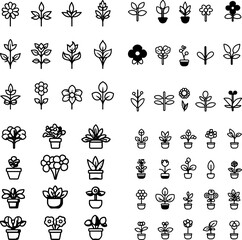annual plant icons, annual flowers, seasonal plants, garden annuals, blooming annuals, fast-growing plants, colorful annuals, one-season plants, summer flowers, vibrant annuals, garden