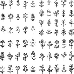 perennial plant icons, perennial flowers, long-lasting plants, garden perennials, flowering perennials, hardy perennials, perennial shrubs, perennial garden, seasonal plants, perennial