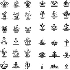 floating plants, water plants, aquatic plants, floating greenery, water garden, pond plants, aquatic flora, floating vegetation, floating leaves, water lilies, pond surface plants, floa