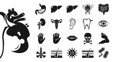 Obraz premium Human Anatomy and Medical Organs Solid Icon Set