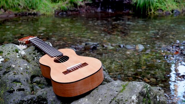 Acoustic Guitar in Nature&rsquo;s Embrace | 8K Downscaled to 4K