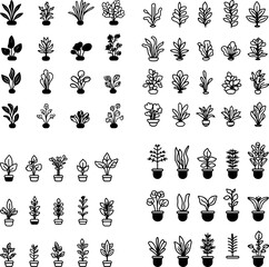 live plant, aquarium plant, freshwater plant, aquarium greenery, aquatic plants, living plants, live foliage, planted aquarium, aquatic flora, live plant icon, plant life, underwater pl
