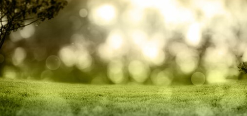 Flat design scene is showing grassy meadow glowing in warm sunlight, blurred trees and bokeh spots