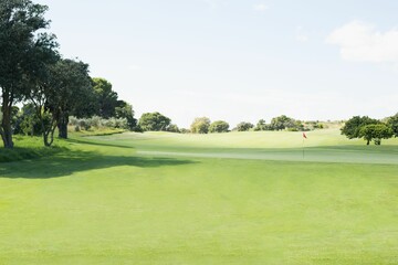 Flat design illustration is showing red golf flag and hole on manicured putting green and fairway