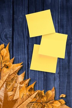 Fototapeta Autumn leaves with yellow note