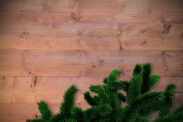 Fir branches over wooden planks
