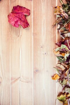 Maple leaf with dry leaves on table