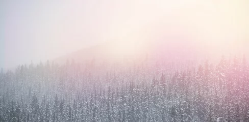 Schilderijen op glas Snow covered trees during winter © vectorfusionart