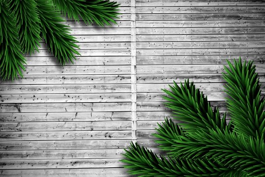 Fototapeta Fir branches on wooden planks