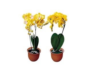 The white background in the picture is a yellow orchid flower with green stems, green leaves and white roots in a brown pot. It is a plastic orchid used as a decorative plant in various beautiful hous
