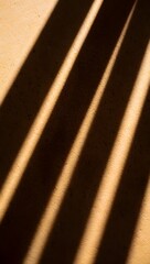 Abstract interplay of light and shadow on a textured surface. The image features a diagonal pattern created by the shadows of linear structures.