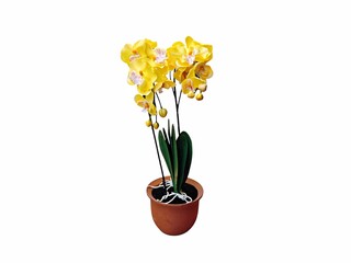 The white background in the picture is a yellow orchid flower with green stems, green leaves and white roots in a brown pot. It is a plastic orchid used as a decorative plant in various beautiful hous