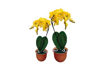 The white background in the picture is a yellow orchid flower with green stems, green leaves and white roots in a brown pot. It is a plastic orchid used as a decorative plant in various beautiful hous