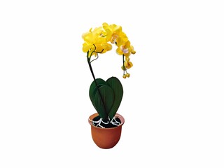 The white background in the picture is a yellow orchid flower with green stems, green leaves and white roots in a brown pot. It is a plastic orchid used as a decorative plant in various beautiful hous
