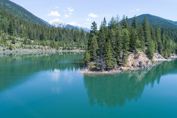 Trees growing on mountain by calm river against sky