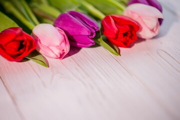 Five colorful tulip blossoms are being displayed on whitewashed wooden plank, flat design