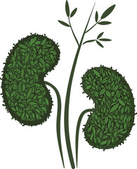 Green Moss Human Kidney Shape – Organic Anatomy Illustration