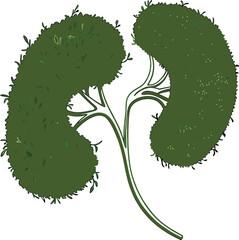 Green Moss Human Kidney Shape – Organic Anatomy Illustration

