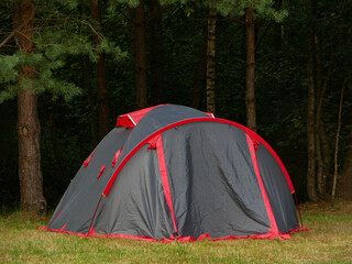 Tent in the dark forest.