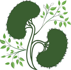 A Pair of Green Moss in the Shape of Human Kidneys – Eco Health Concept