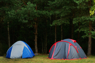 Tents for tourists in the forest.